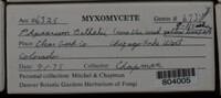 Image Associated With the Occurence